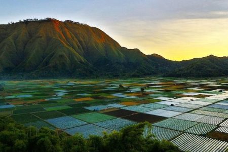 Land Cruise Lombok Seharian